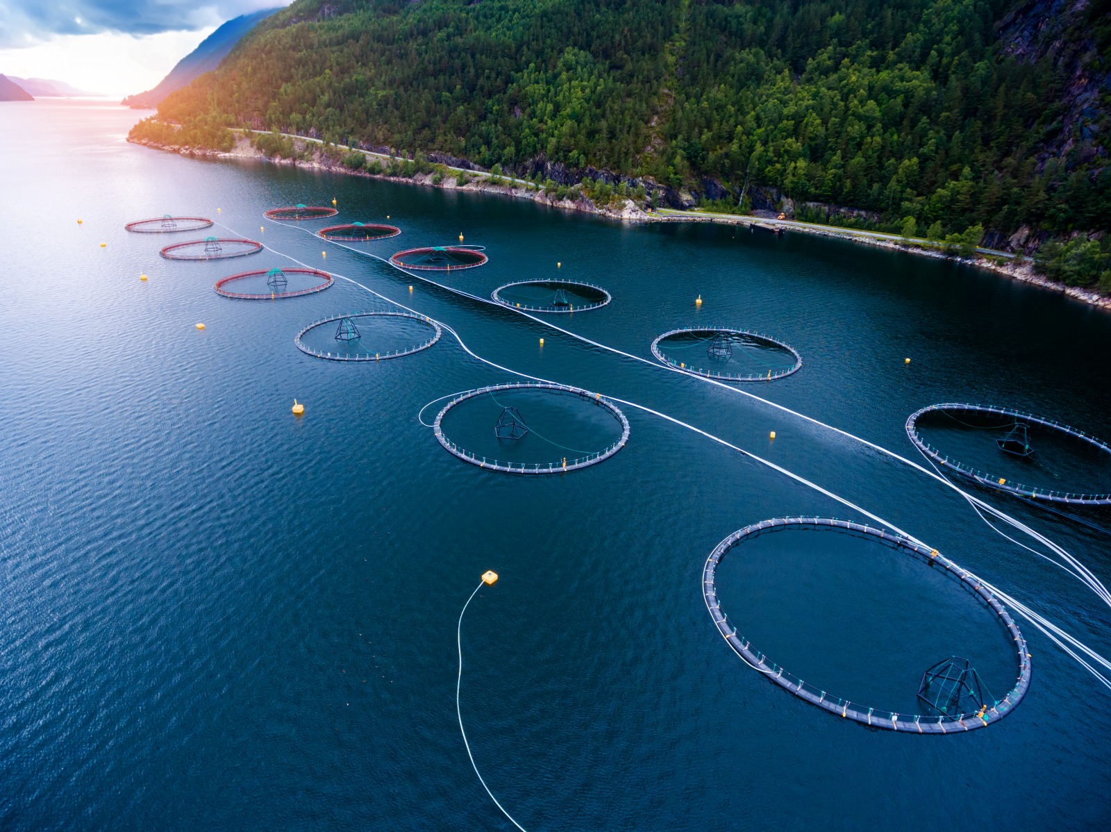AquaSur albergará ruedas de negocios con importadores europeos