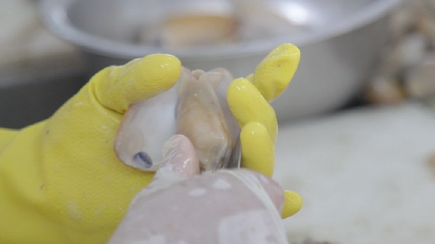 Lanzarán guía con información nutricional de alimentos marinos