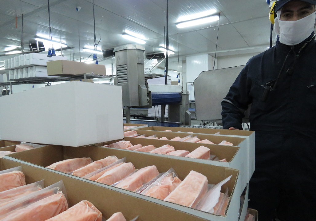 Abordan la diversificación de mercados para productos del mar de Magallanes