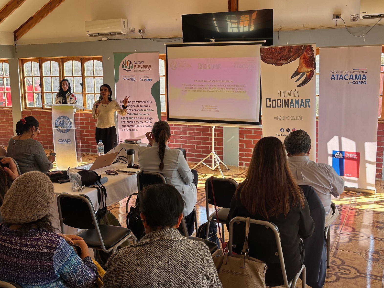 Región de Atacama impulsa programa para el desarrollo de productos en base a algas locales