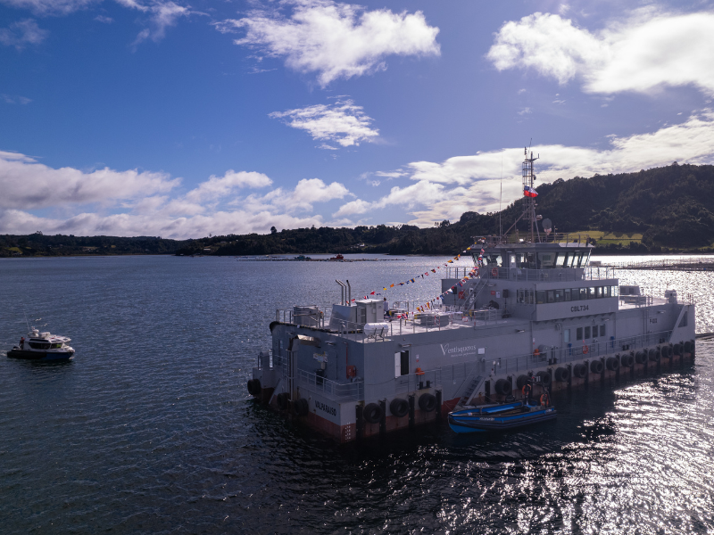 Ventisqueros se integra al Consejo del Salmón para fortalecer el desarrollo de la industria