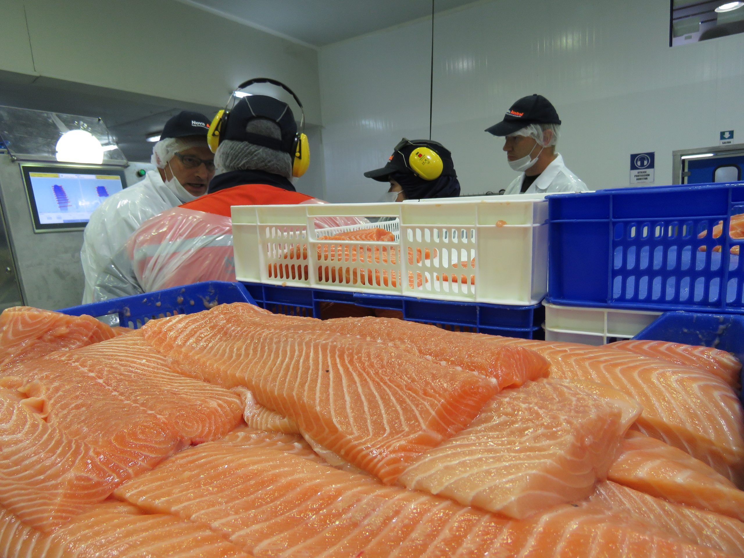 Chile concreta avances para la continuidad de las exportaciones de productos del mar al mercado ruso