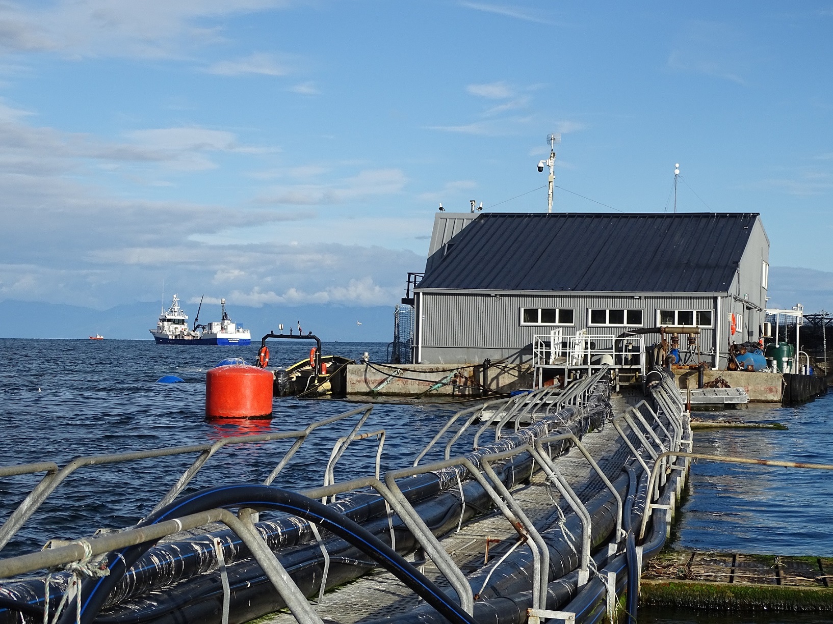 Invitan a empresas de soluciones acuícolas a postular al Segundo Encuentro de Negocios Chile–ASEAN 2026