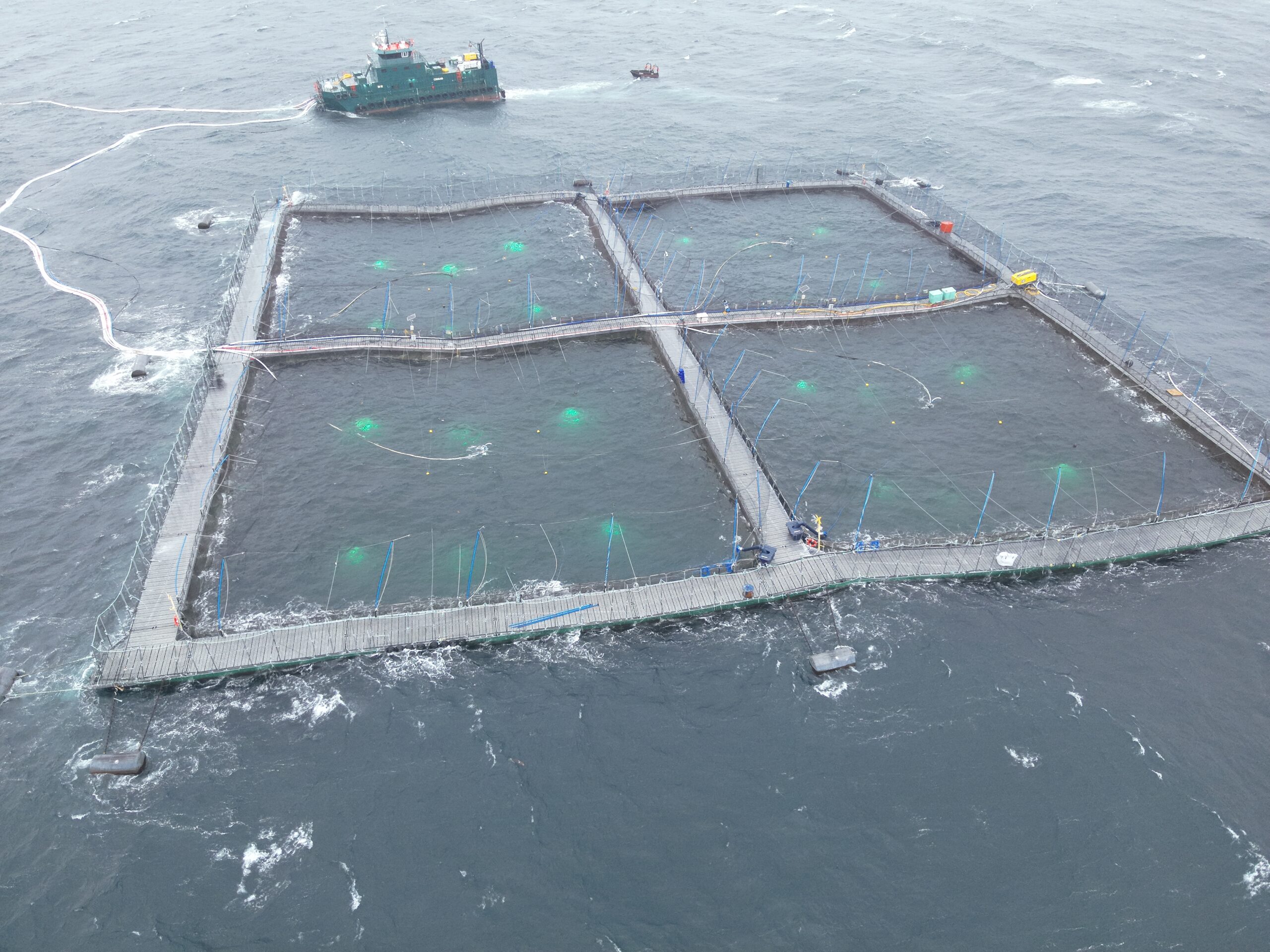 [+VIDEO] En Chile: Cultivar salmones en zonas de alta energía se hace realidad