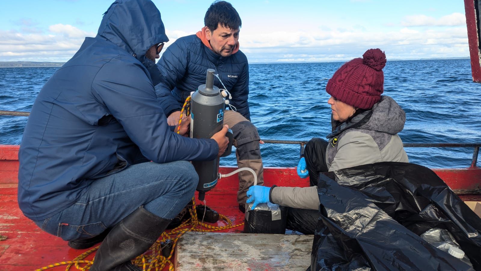 Investigan el Seno de Reloncaví por medio de teledetección del color del agua