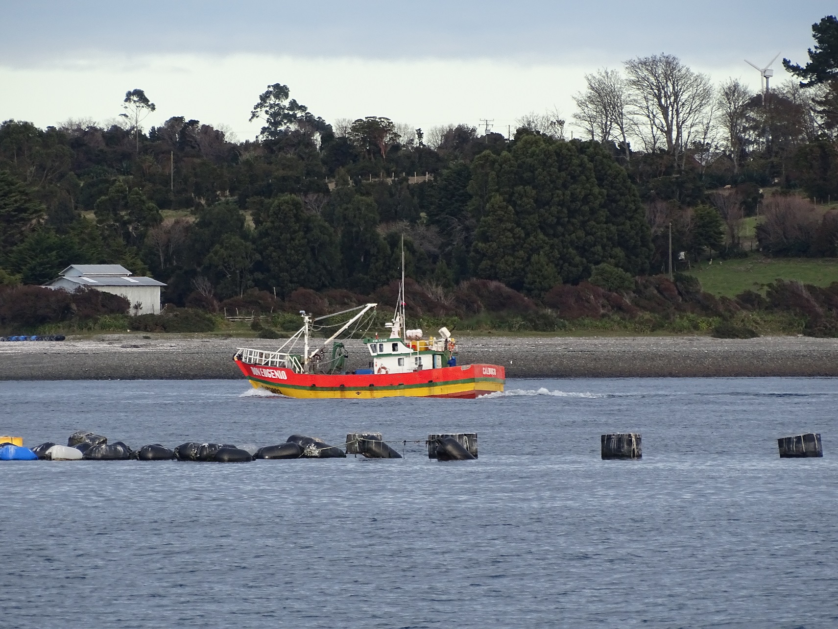 Entregan los resultados del Programa de Sanidad de Moluscos Bivalvos en 2024