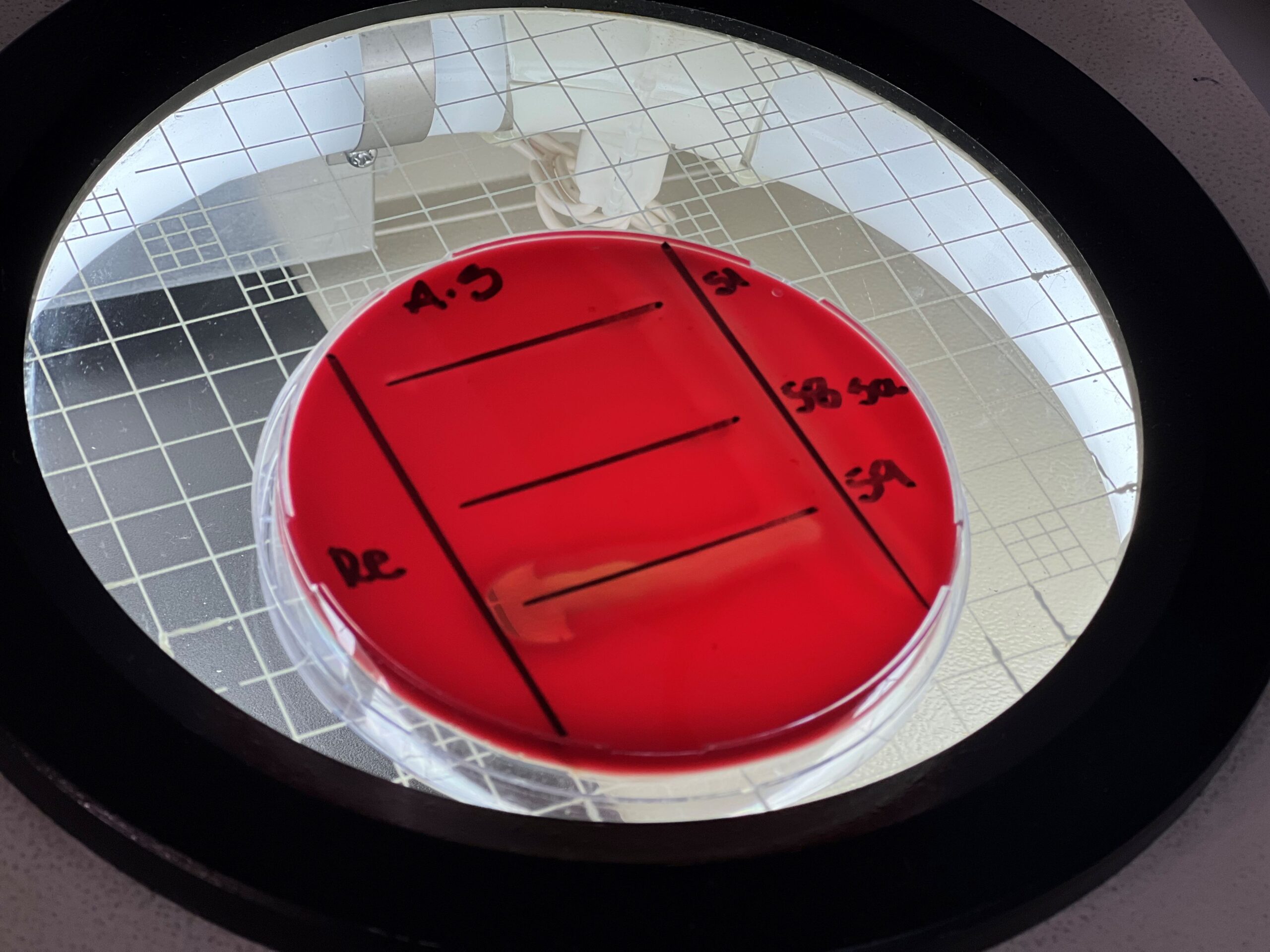 Centro para la Gestión Integral de Antimicrobianos en la Acuicultura participará en Aquasur Tech 2025