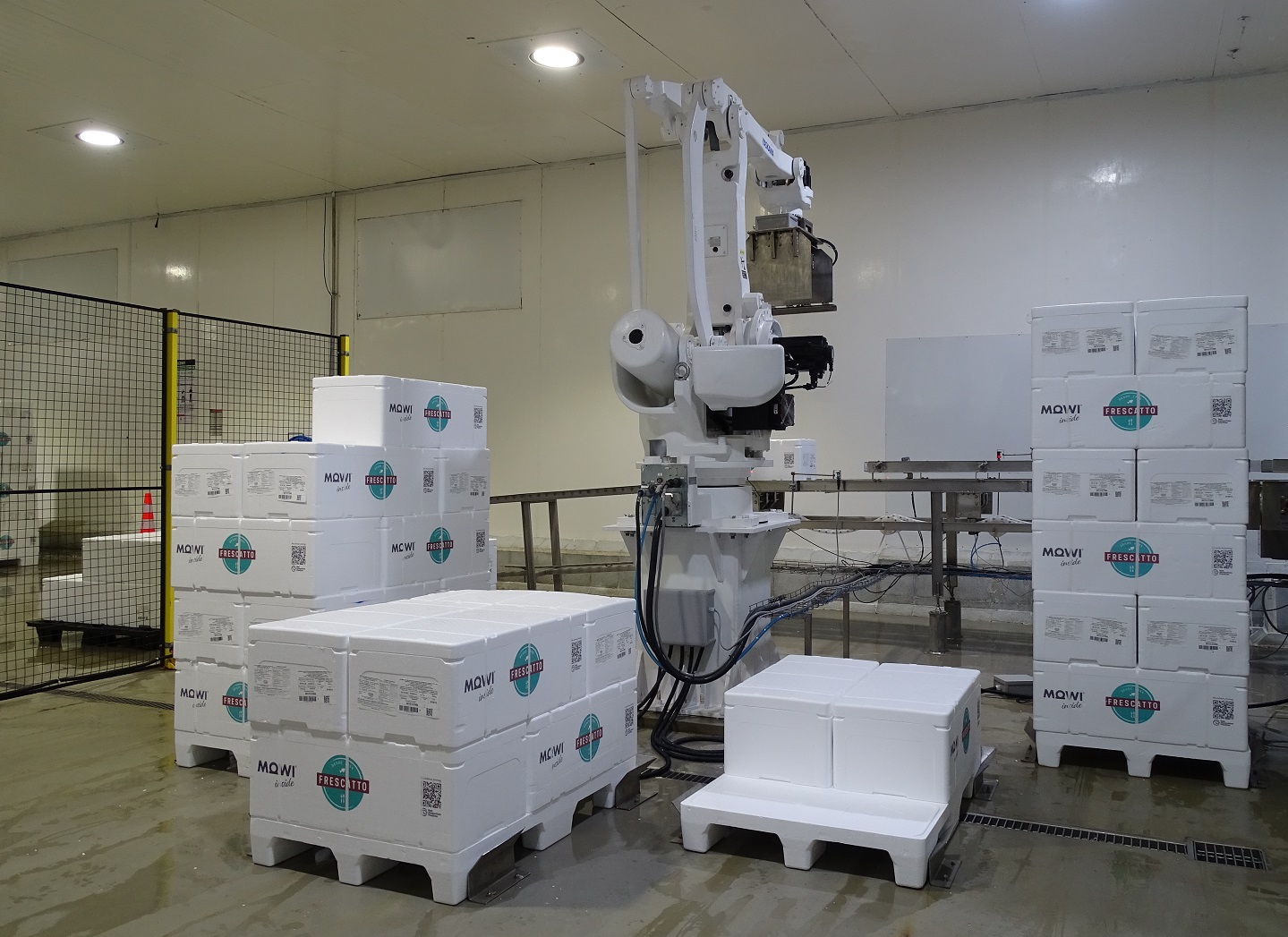 Sector pesquero y acuícola impulsa las exportaciones chilenas en enero