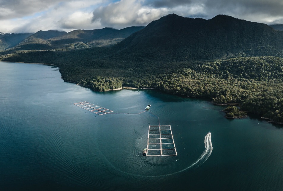 Esta semana se concretará cambio en la Gerencia General de Yadran