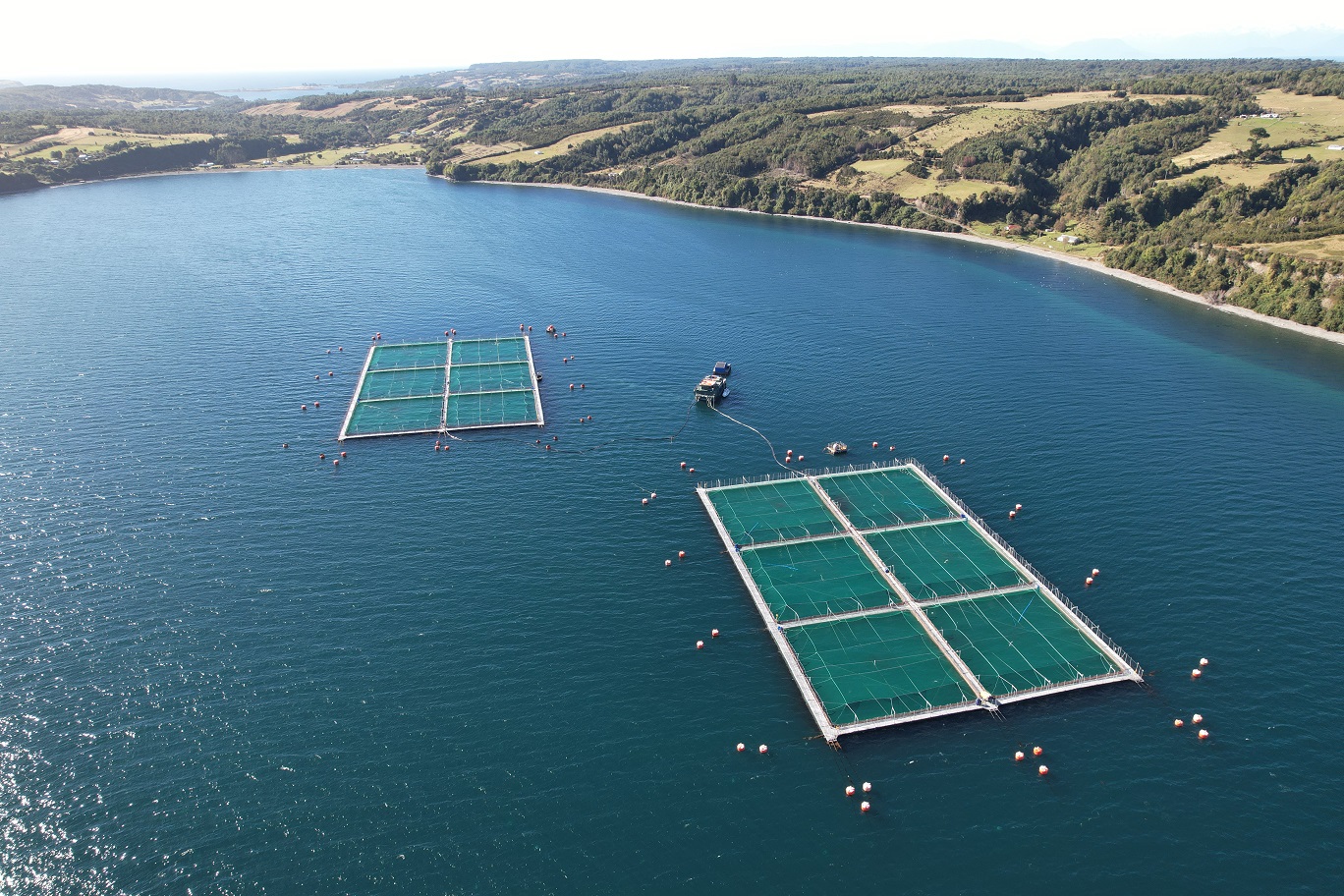 Empresa chilena presentará en España su experiencia global en servicios de ingeniería acuícola