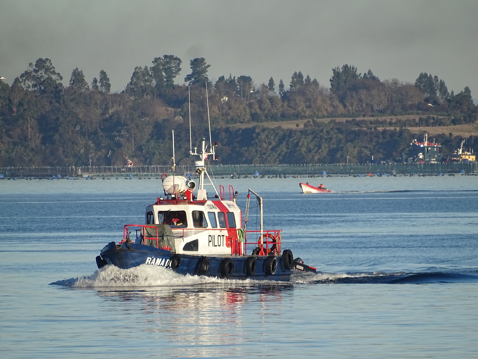 Expertos chilenos colaboran en propuesta de marco global para la adaptación del sector acuícola al cambio climático