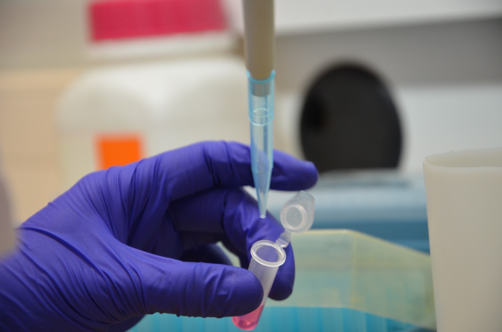 Seminario Latinoamericano abordará avances en vacunas contra enfermedades acuícolas