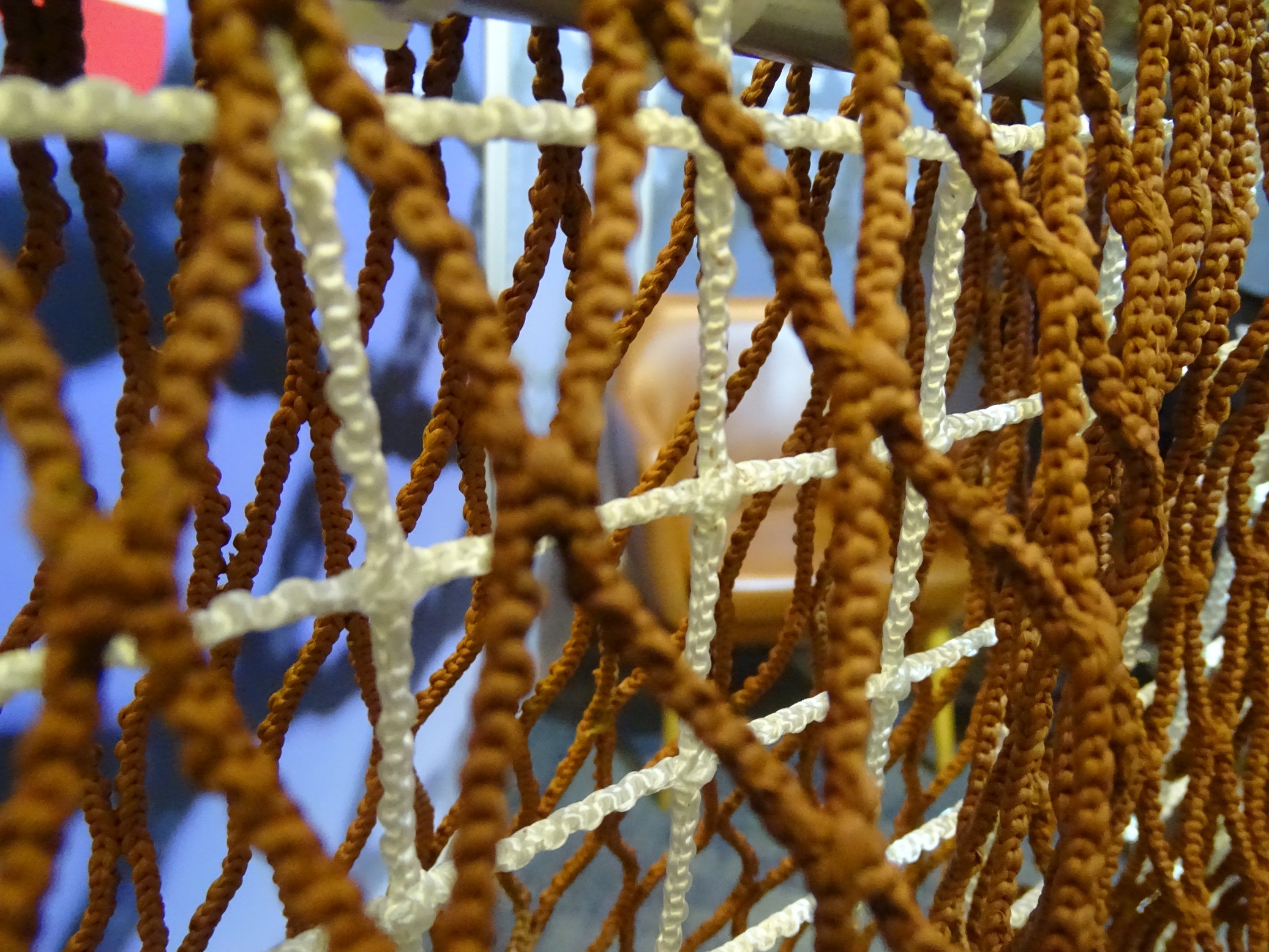 Muestra de equipos, lanzamientos e innovaciones para la acuicultura marcaron Expo InnAqua 2025