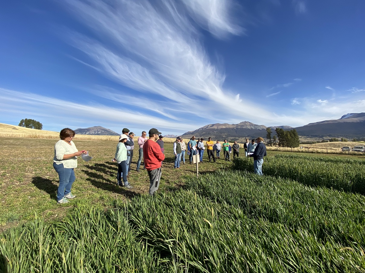 Seminario internacional reunirá al ecosistema agroacuícola del sur de Chile