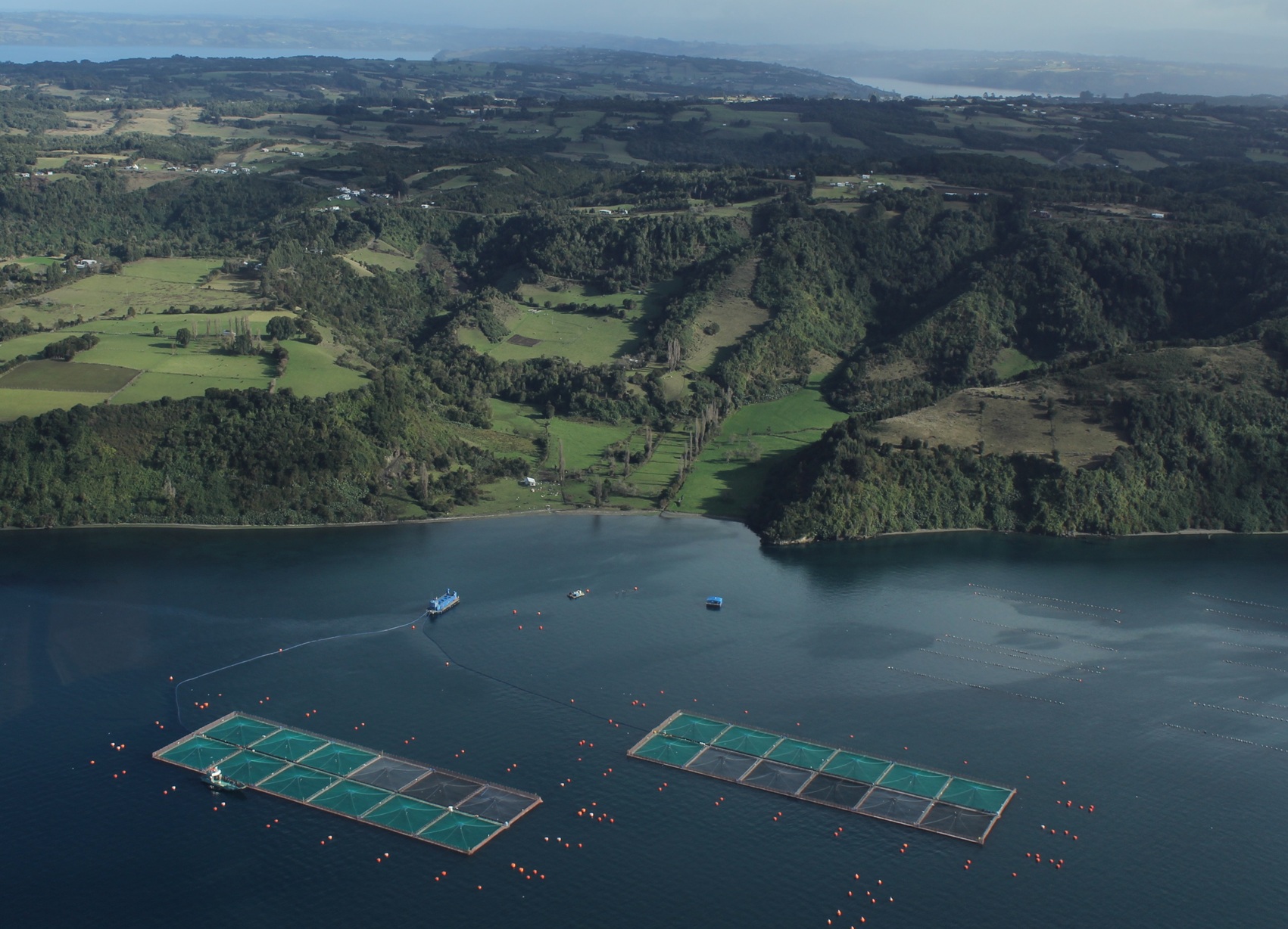 En octubre Chile será sede del congreso acuícola más importante de Latinoamérica