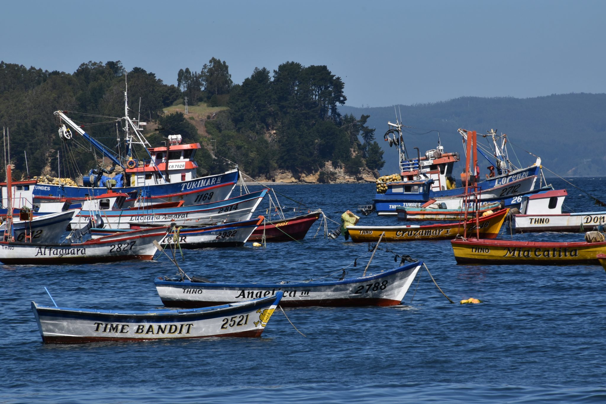Informe analiza propuestas presidenciales en sustentabilidad, manejo pesquero y gobernanza costera