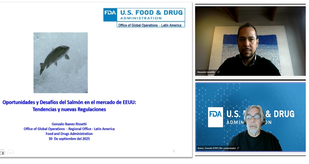 Analizan oportunidades y desafíos de la industria salmonera en el mercado de Estados Unidos