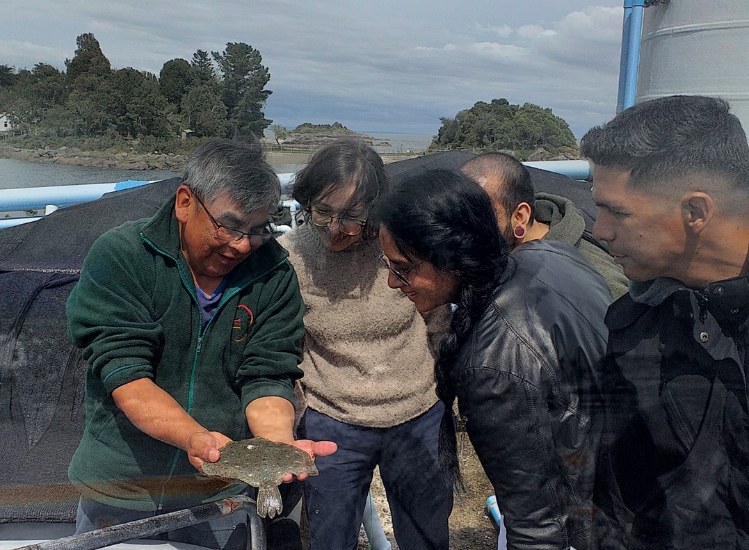 Centro de Acuicultura ULagos en Metri fortalece la interacción con estudiantes de postgrado