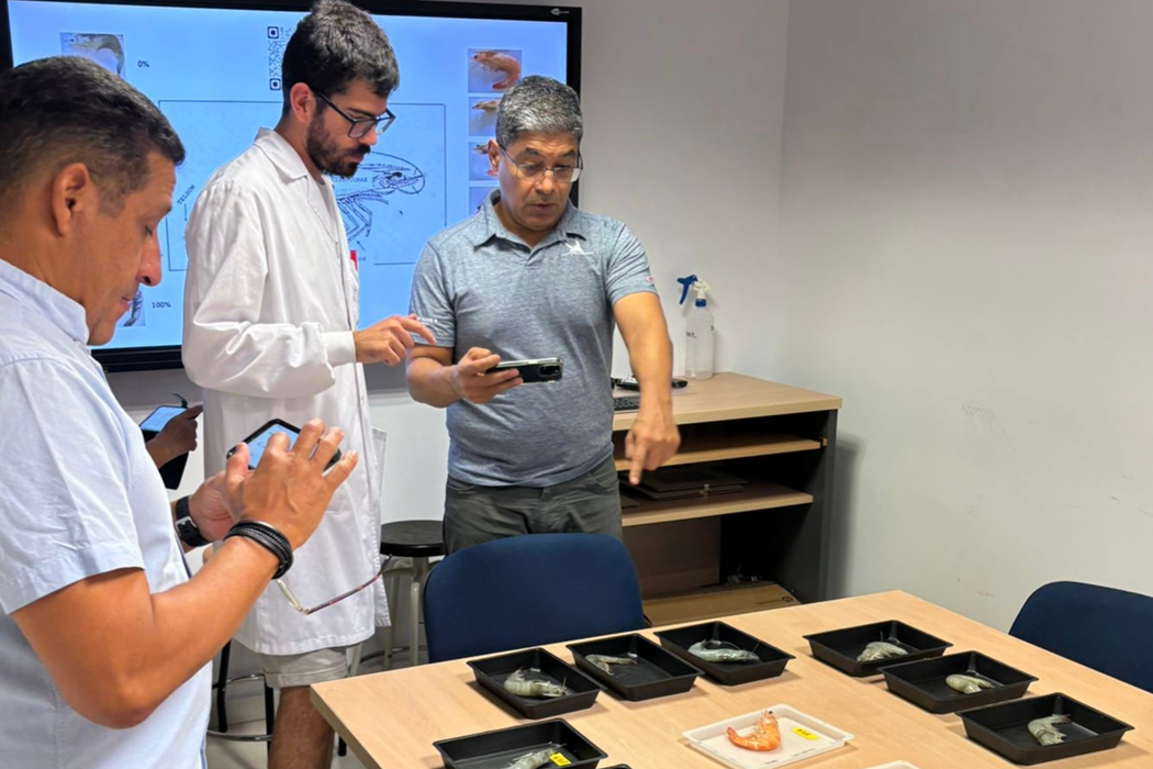 Laboratorio de Nutrición y Fisiología de Peces UCT lleva investigación acuícola regional a Europa