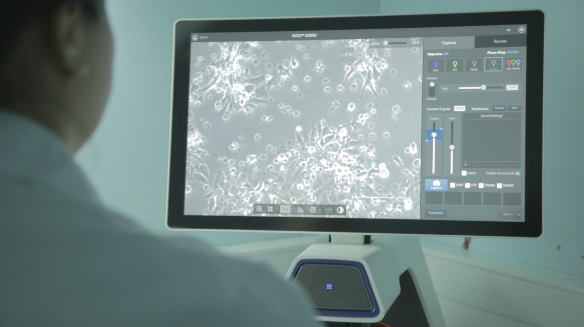 Centro INCAR presentará 13 trabajos en el principal evento internacional sobre el piojo de mar