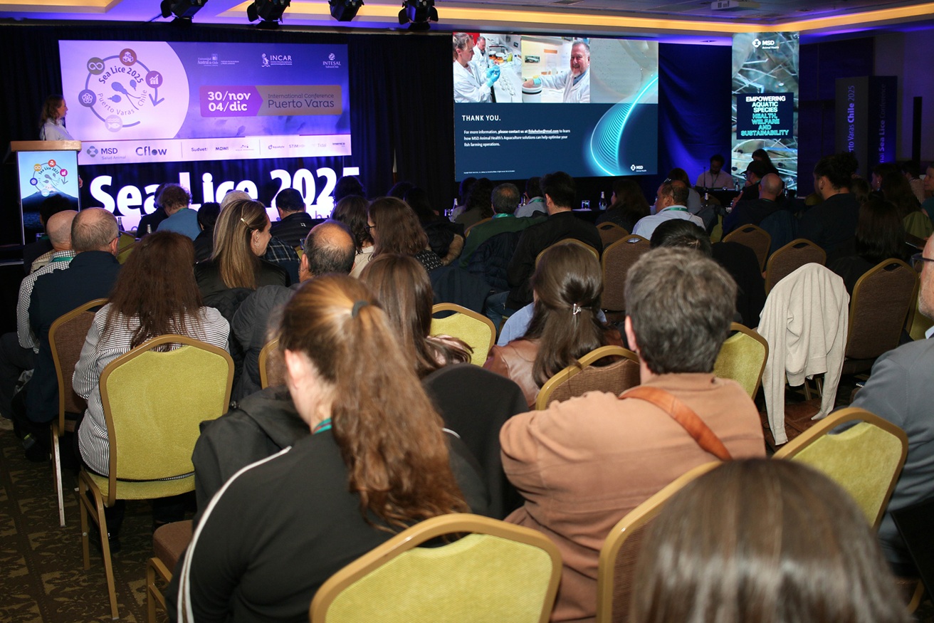 Presentan investigaciones para mejorar el bienestar de los peces y la efectividad de tratamientos contra el piojo de mar