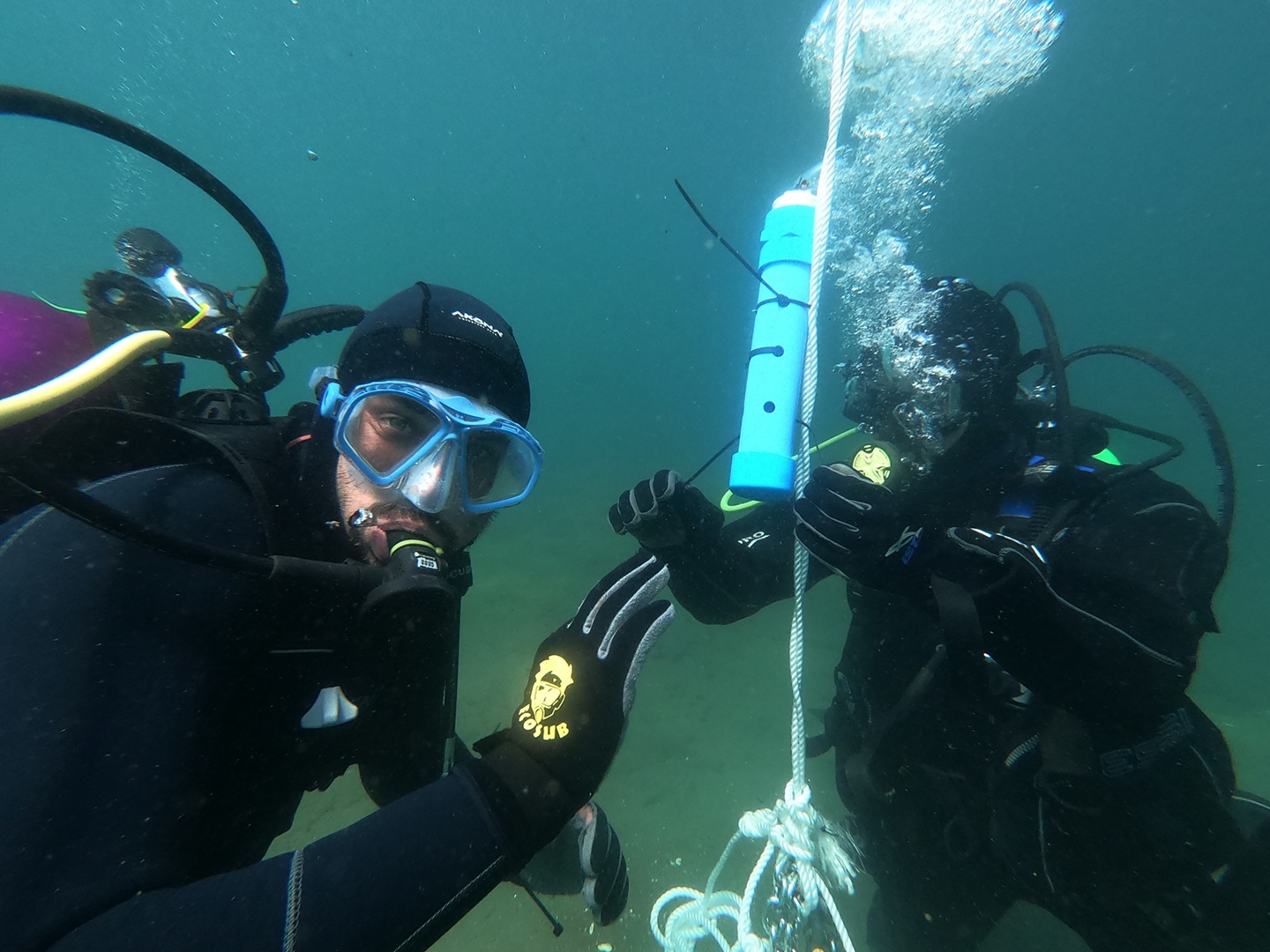 Nueva investigación busca descifrar el rol del huiro gigante en el ciclo del carbono