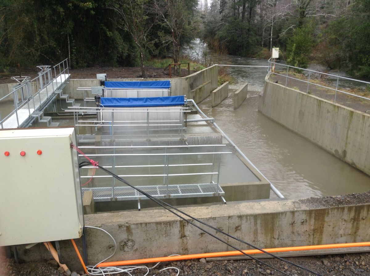 SMA aplica multa a piscicultura de La Araucanía tras constatar una serie de incumplimientos ambientales