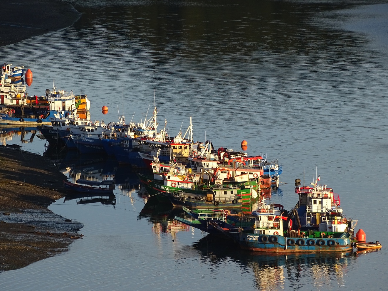 Producción pesquera y acuícola chilena de 2025 supera promedios históricos