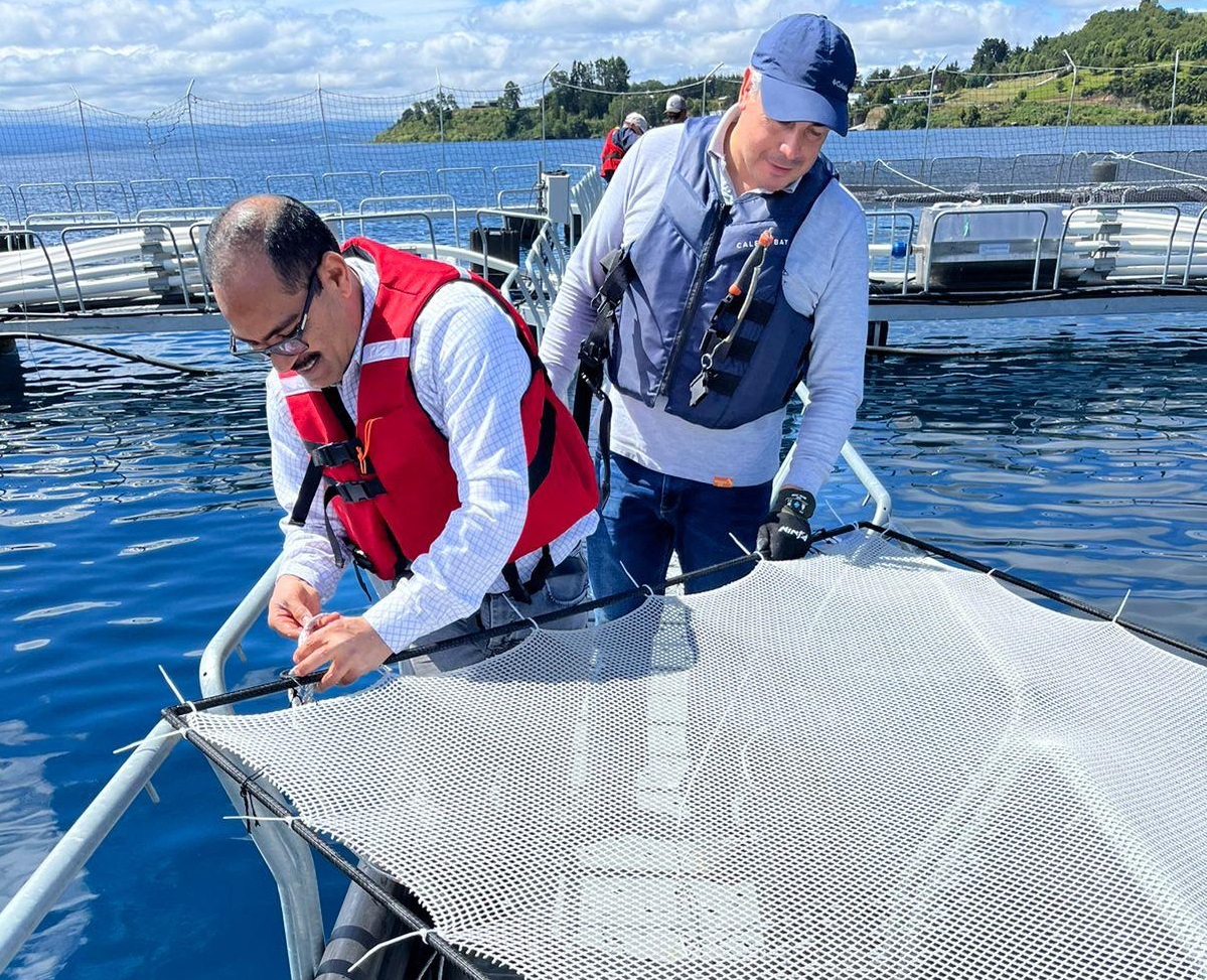 Garware impulsa la innovación y sostenibilidad en la salmonicultura con el lanzamiento de nueva red lobera