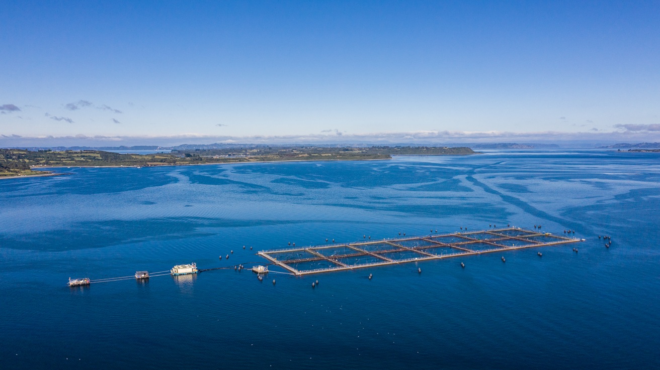 Multi X destaca positivos resultados de 2025 y releva su ingreso al mercado nacional