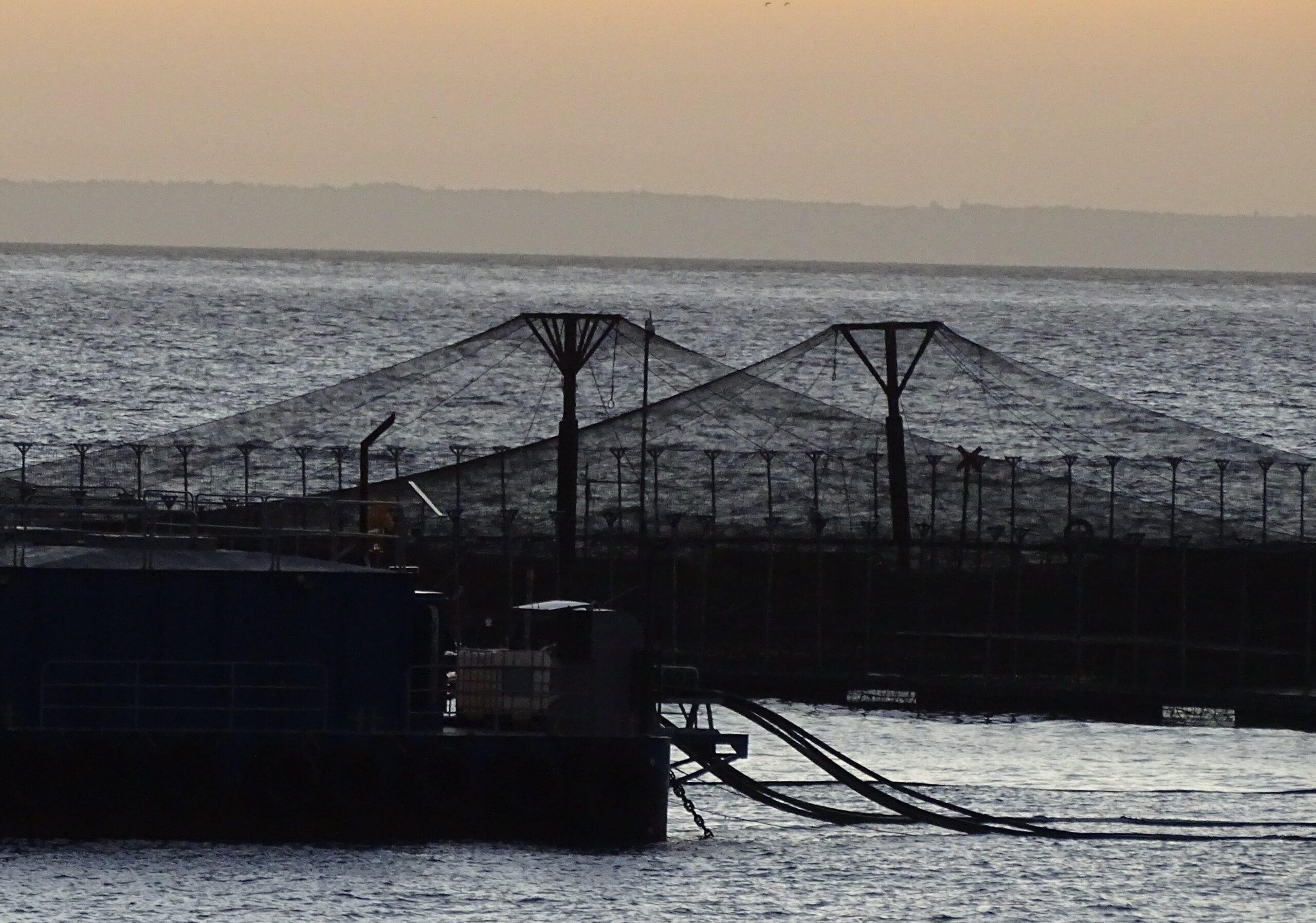 Sernapesca y sector salmonicultor coordinan acciones ante contingencias por floraciones algales