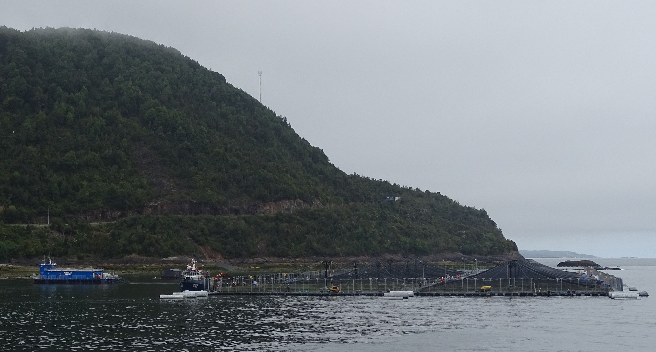 Subpesca inicia primera etapa de revisión de solicitudes de relocalización de concesiones acuícolas