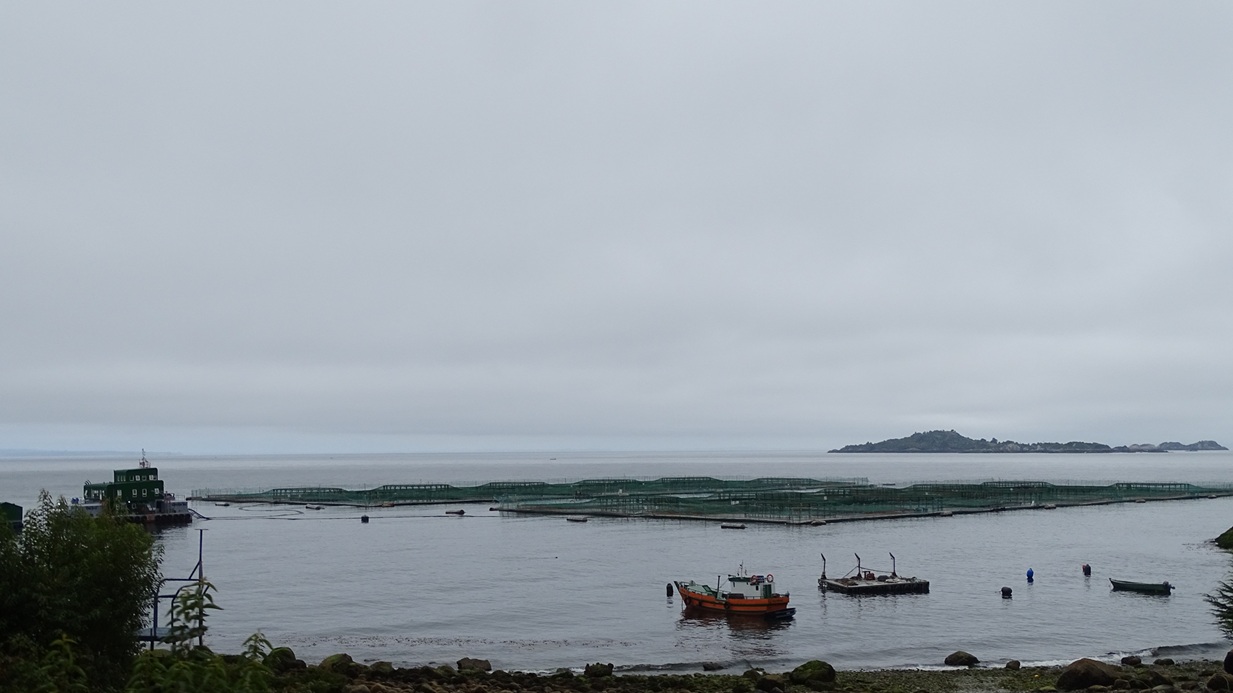 Chile será sede de la primera Conferencia mundial sobre SRS organizada por Centro INCAR2