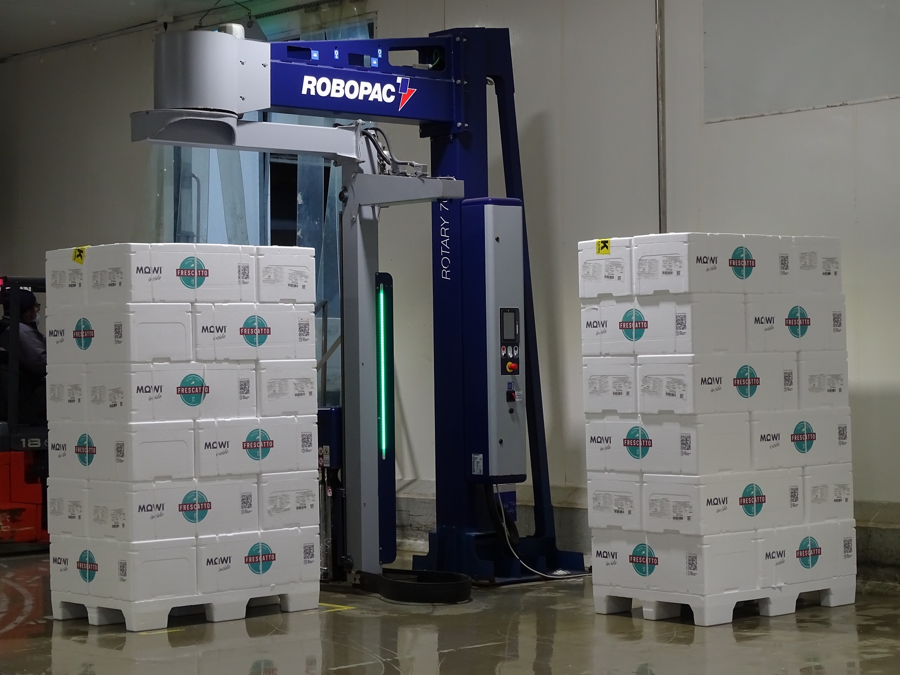 Salmónidos alcanzan su mayor registro histórico de exportaciones para un primer trimestre