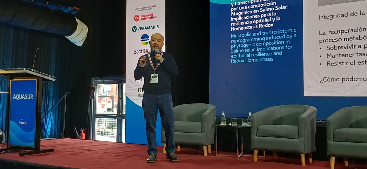 Investigación colaborativa impulsa alternativa natural para fortalecer la salud del salmón del Atlántico