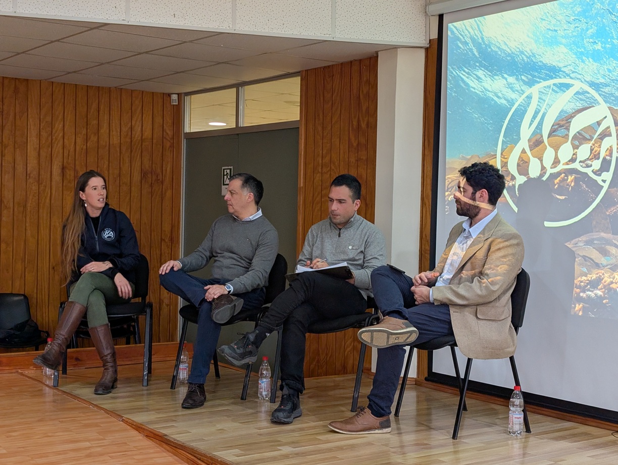 Primer «Huiro Day» en Puerto Montt, un hito para la conservación marina y la economía azul
