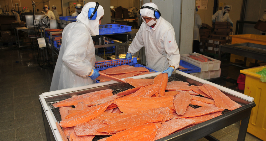 Exportaciones de Los Lagos crecen impulsadas por el salmón y el dinamismo de otros sectores