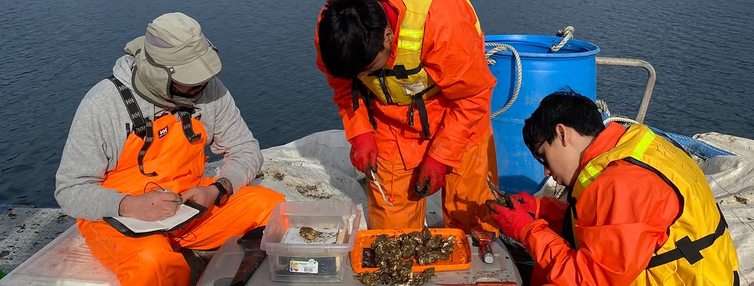 Fortalecen la formación de capital humano en acuicultura de pequeña escala en la región de Los Lagos