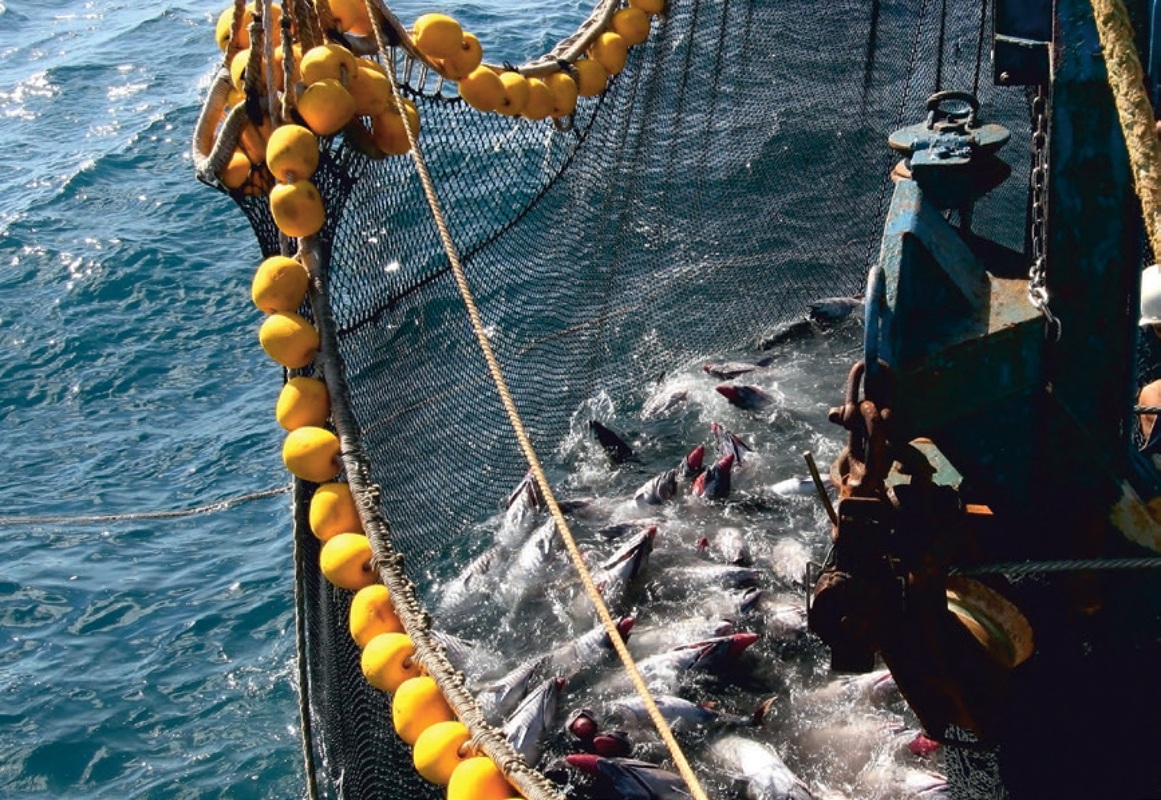 Proveedor global de redes y cabos participará en feria Nor-Fishing 2026