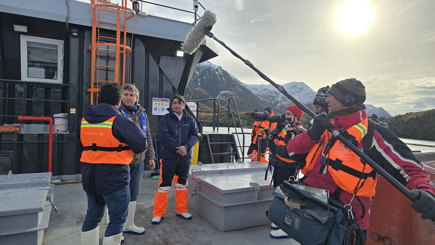 Agua Viva estrena capítulo especial sobre la salmonicultura en Magallanes