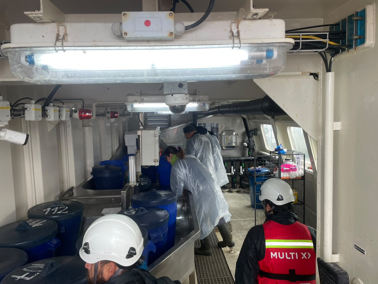 Sernapesca toma medidas ante detección de virus ISA en la región de Aysén