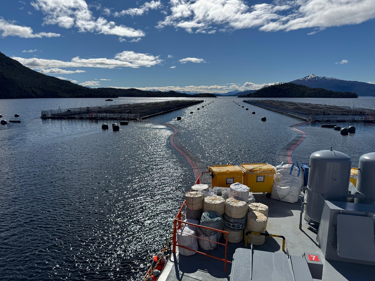 Fiscalizan manejo y traslado de mortalidades asociadas a floración algal en centros de cultivo de Magallanes